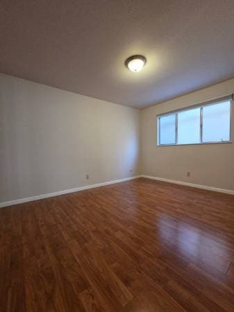 2BR/1BA Apartment on Virginia Streetq · Berkeley photo 2