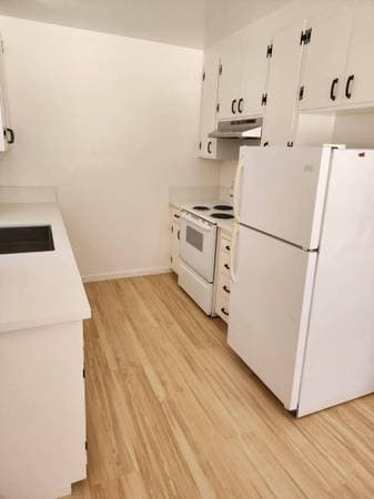 1BR/1BA Apartment · San Jose photo 2