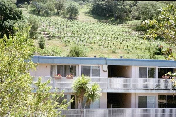 Vineyard's Edge & West Terrance photo 3