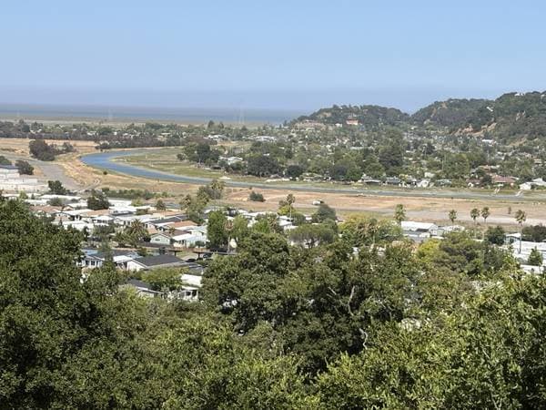 1BR/1BA Condo on Channing Way · San Rafael photo 1