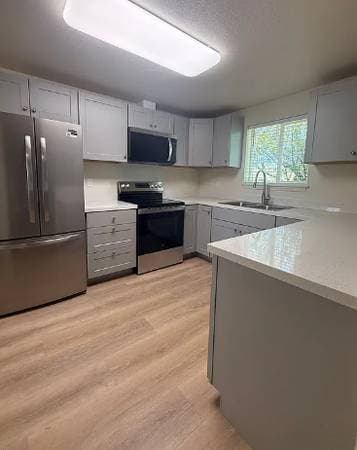 1BR/1BA Apartment · Petaluma photo 1