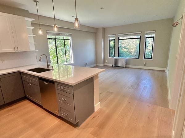 Modern and Stylish Elmwood Apartment photo 4
