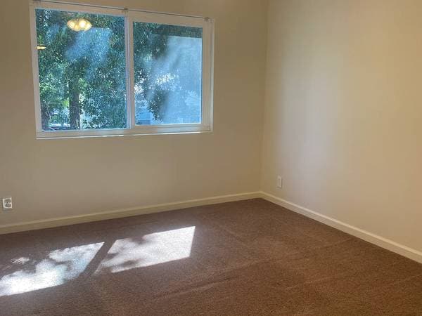 1BR/1BA Apartment on Comstock Ave · El Verano photo 3