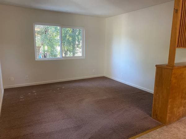 1BR/1BA Apartment on Comstock Ave · El Verano photo 4