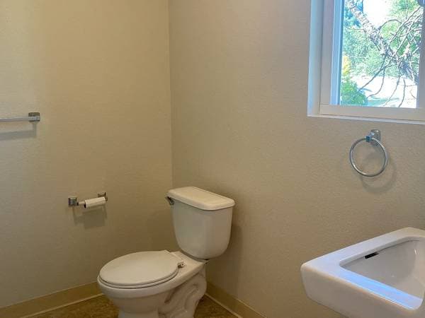 1BR/1BA Apartment on Comstock Ave · El Verano photo 5