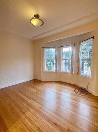 1BR/1BA Apartment on Horton Ave · New Rochelle photo 3