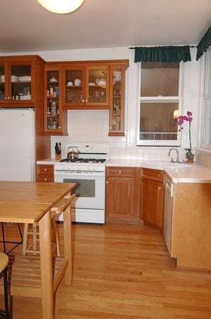 1BR/1BA Apartment on Hermann St · San Francisco photo 3