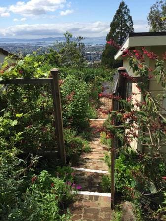 1BR/1BA Single Family House · Berkeley photo 4