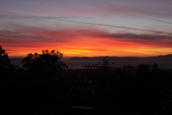 1BR/1BA Single Family House · Berkeley photo 5
