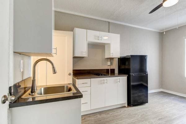 1BR/1BA Apartment · Jamaica photo 2