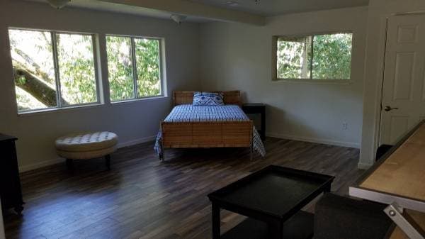 0BR/1BA In Law Adu on Argonne Way · Forestville photo 3