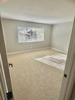 2BR/2BA Apartment · Larkspur photo 5