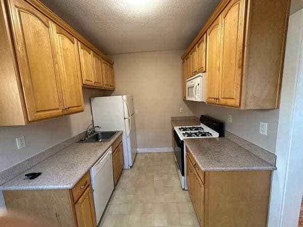 1BR/1BA Apartment · San Jose photo 2