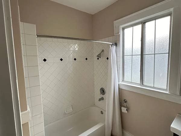 1BR/1BA Apartment · San Jose photo 4