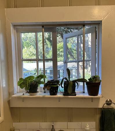 1BR/1BA In Law Adu · Capitola photo 4