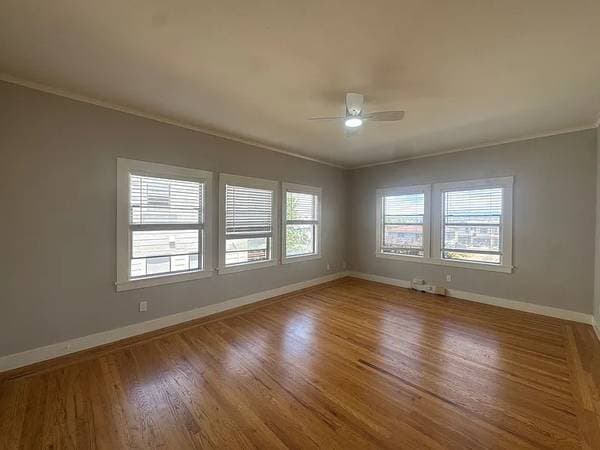 1BR/1BA Apartment · Bronx photo 3