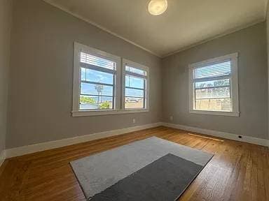 1BR/1BA Apartment · Bronx photo 4