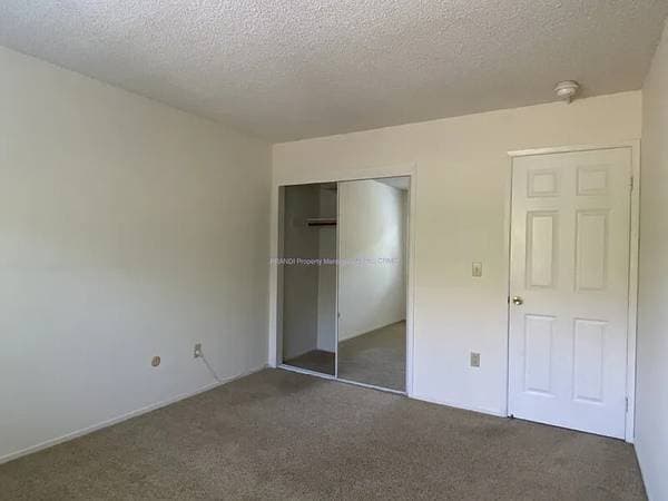 1BR/1BA Apartment · Brooklyn photo 1