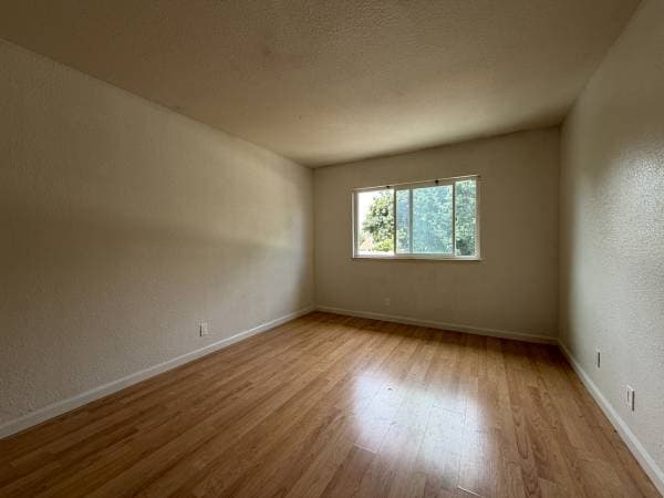 2BR/1BA Apartment on Haas · San Leandro photo 3