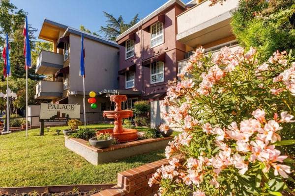 1BR/1BA Apartment on Pine St · Concord photo 1