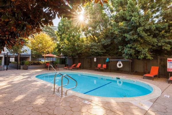 1BR/1BA Apartment on Pine St · Concord photo 4