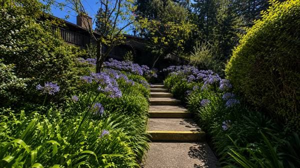 2BR/1BA Condo on Bean Creek Road · Mount Hermon photo 3