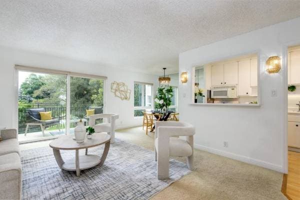 1BR/1BA Condo · San Mateo photo 1