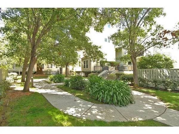 1BR/1BA Apartment · San Mateo photo 2