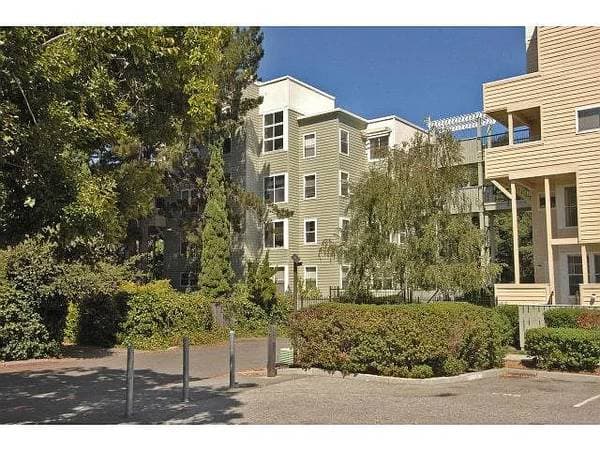 1BR/1BA Apartment · San Mateo photo 4