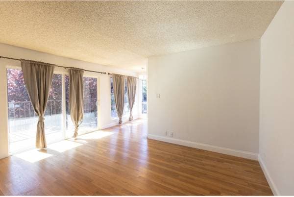 1BR/1BA Apartment · San Francisco photo 4