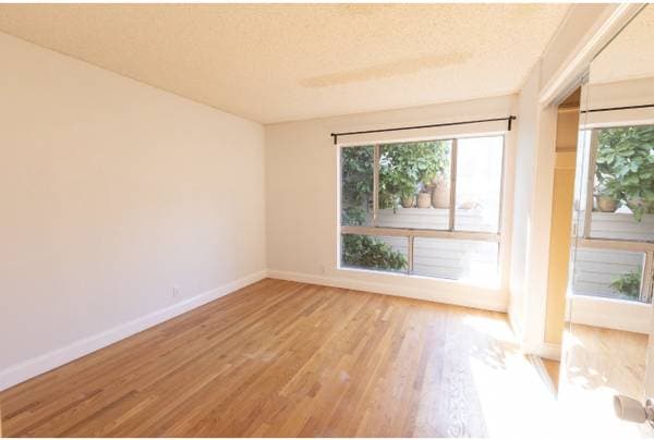 1BR/1BA Apartment · San Francisco photo 5