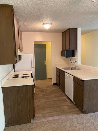 1BR/1BA Condo · Oakland photo 4
