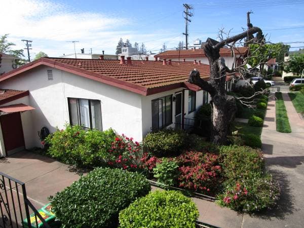 1BR/1BA Apartment · Berkeley photo 2
