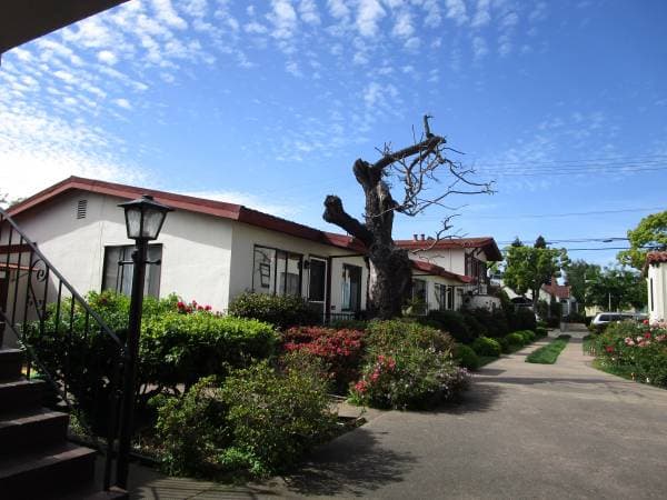 1BR/1BA Apartment · Berkeley photo 3