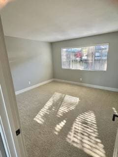 2BR/2BA Apartment · Larkspur photo 5