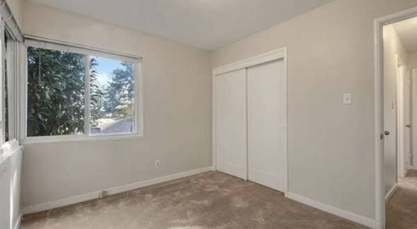 1BR/1BA Apartment on Dalma Dr · Mountain View photo 5