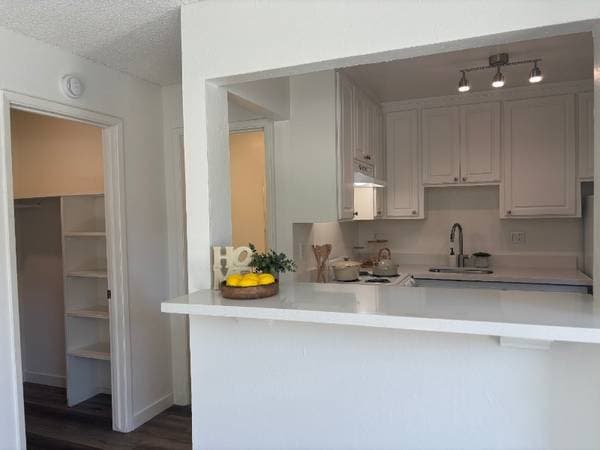0BR/1BA Apartment on Hollis Avenue · Campbell photo 1