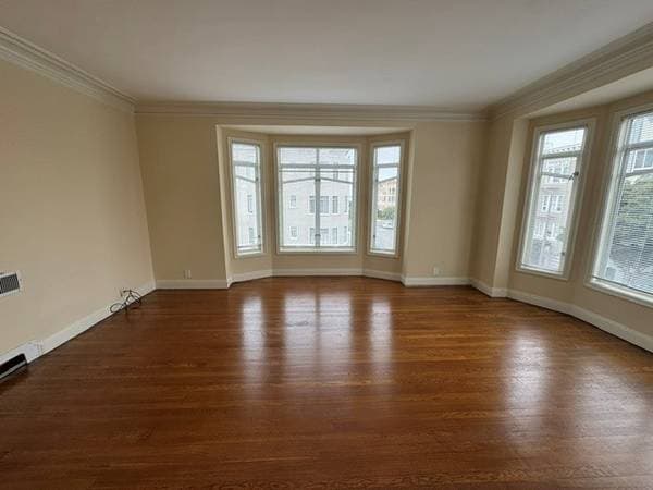 1BR/1BA Apartment on Scott · San Francisco photo 4