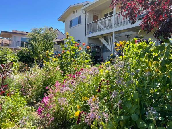 1BR/1BA In Law Adu · Sebastopol photo 1