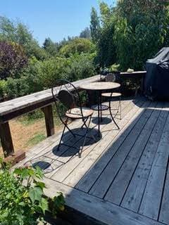 1BR/1BA In Law Adu · Sebastopol photo 2
