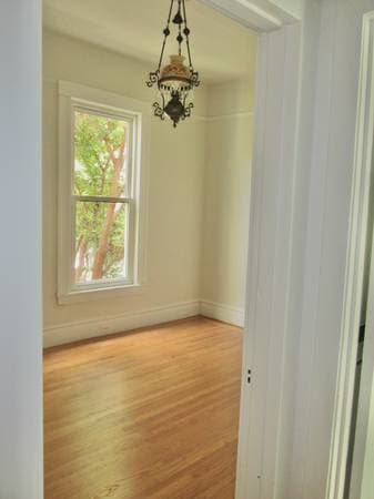 1BR/1BA Apartment on Chestnut St · San Francisco photo 3