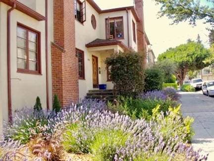 3BR/2BA Apartment · Berkeley photo 3