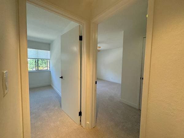 2BR/2BA Apartment · Los Altos photo 5