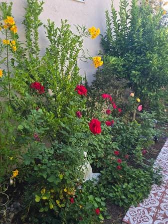 1BR/1BA Other on 5th Street · Kentfield photo 1