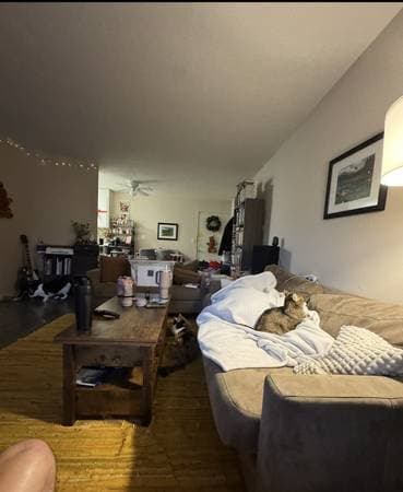 1BR/1BA Apartment · Sunnyvale photo 2
