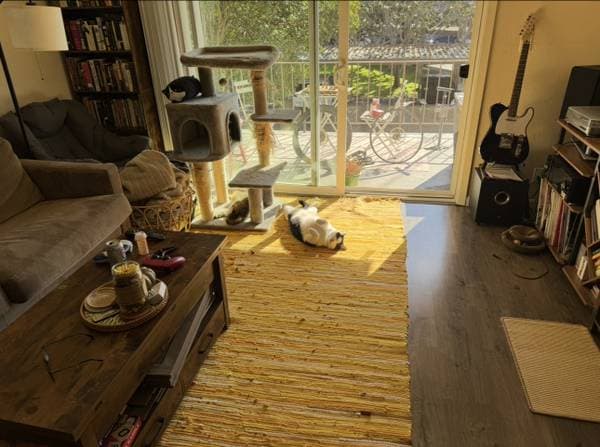 1BR/1BA Apartment · Sunnyvale photo 3