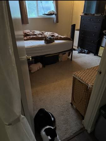 1BR/1BA Apartment · Sunnyvale photo 4