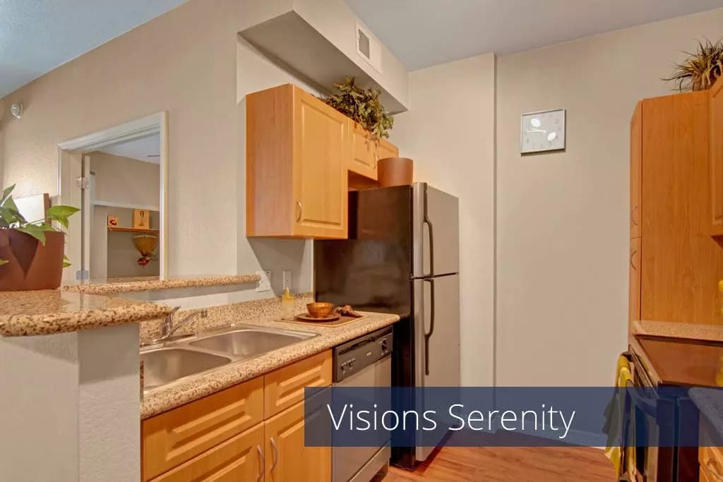 Visions photo 2