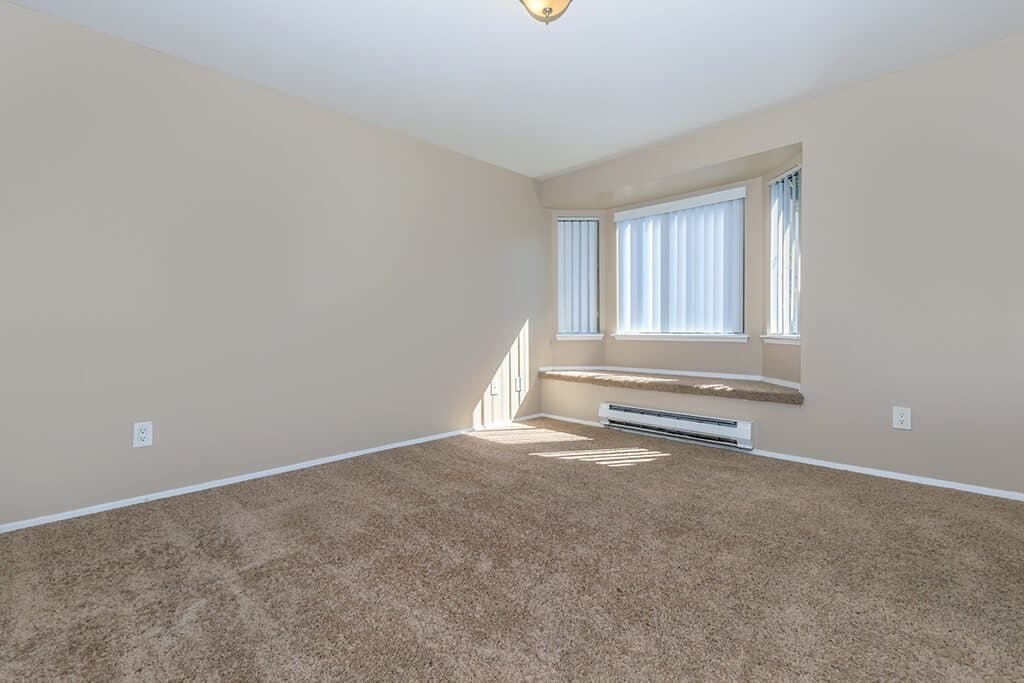 Alvista 240 photo 4