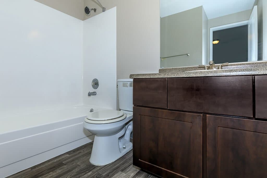 Alvista 240 photo 5
